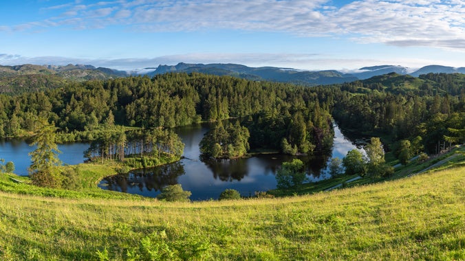 The view from Tarn Hows, Cumbria